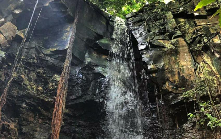 Alquimista Excursões Marítimas — foto 5